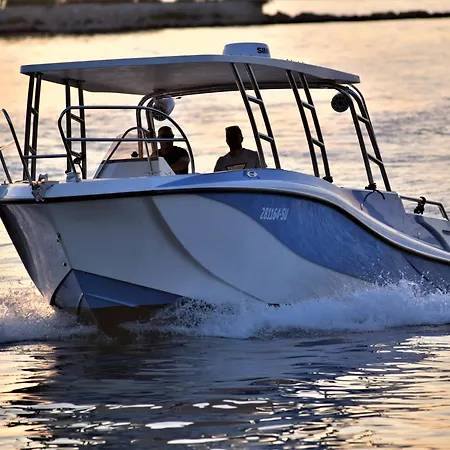 فيلة Fani سوبيتار