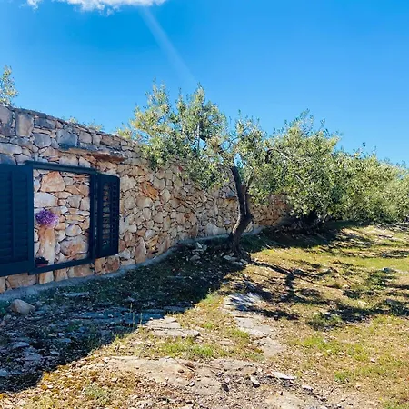 Fani Villa Supetar