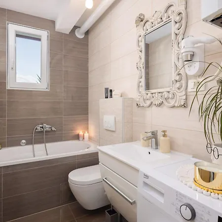 Fani فيلة سوبيتار