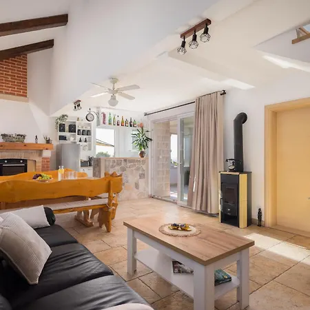 فيلة Fani سوبيتار