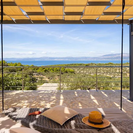 فيلة Fani سوبيتار