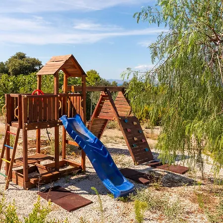 فيلة Fani سوبيتار